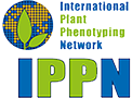 ippn_logo-trans-1